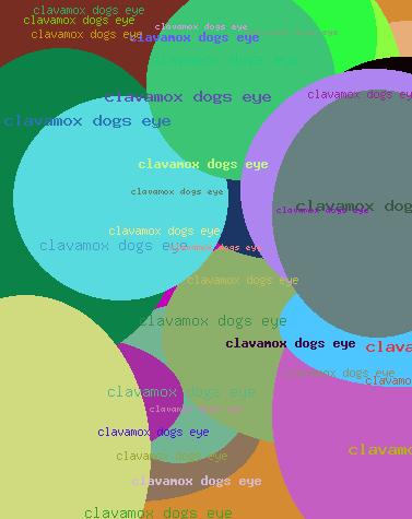 Clavamox Dogs Eye