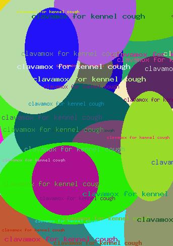 CLAVAMOX FOR KENNEL COUGH