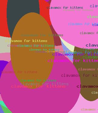 clavamox for kittens