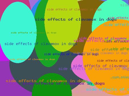 Side Effects Of Clavamox In Dogs