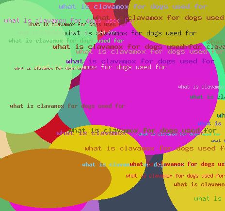 What is clavamox for dogs used for